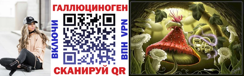 Псилоцибиновые грибы Psilocybine cubensis  Буйнакск 